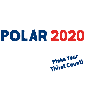 Polar 2020